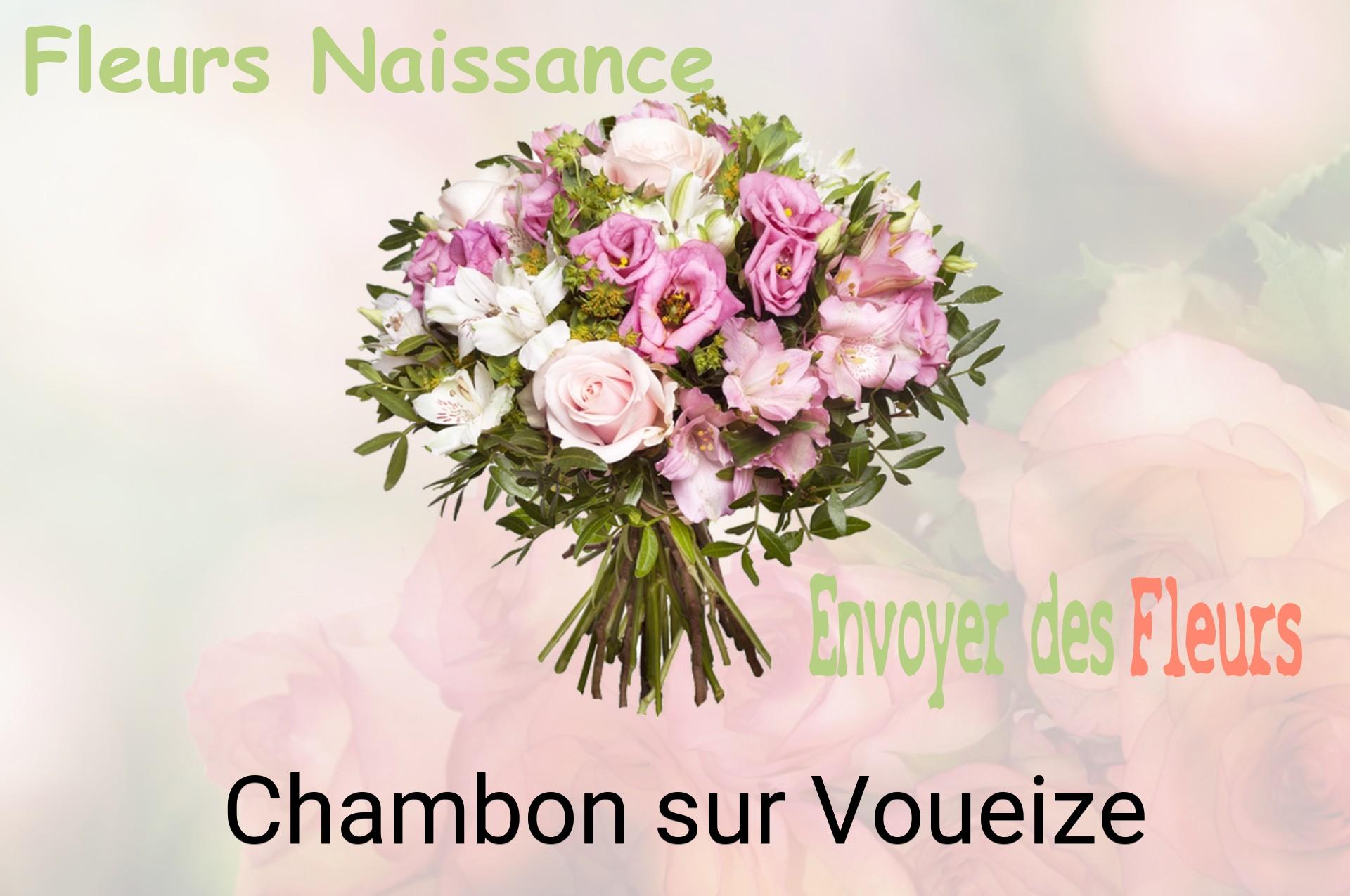 Bouquet de fleurs de naissance livré à Chambon-sur-Voueize